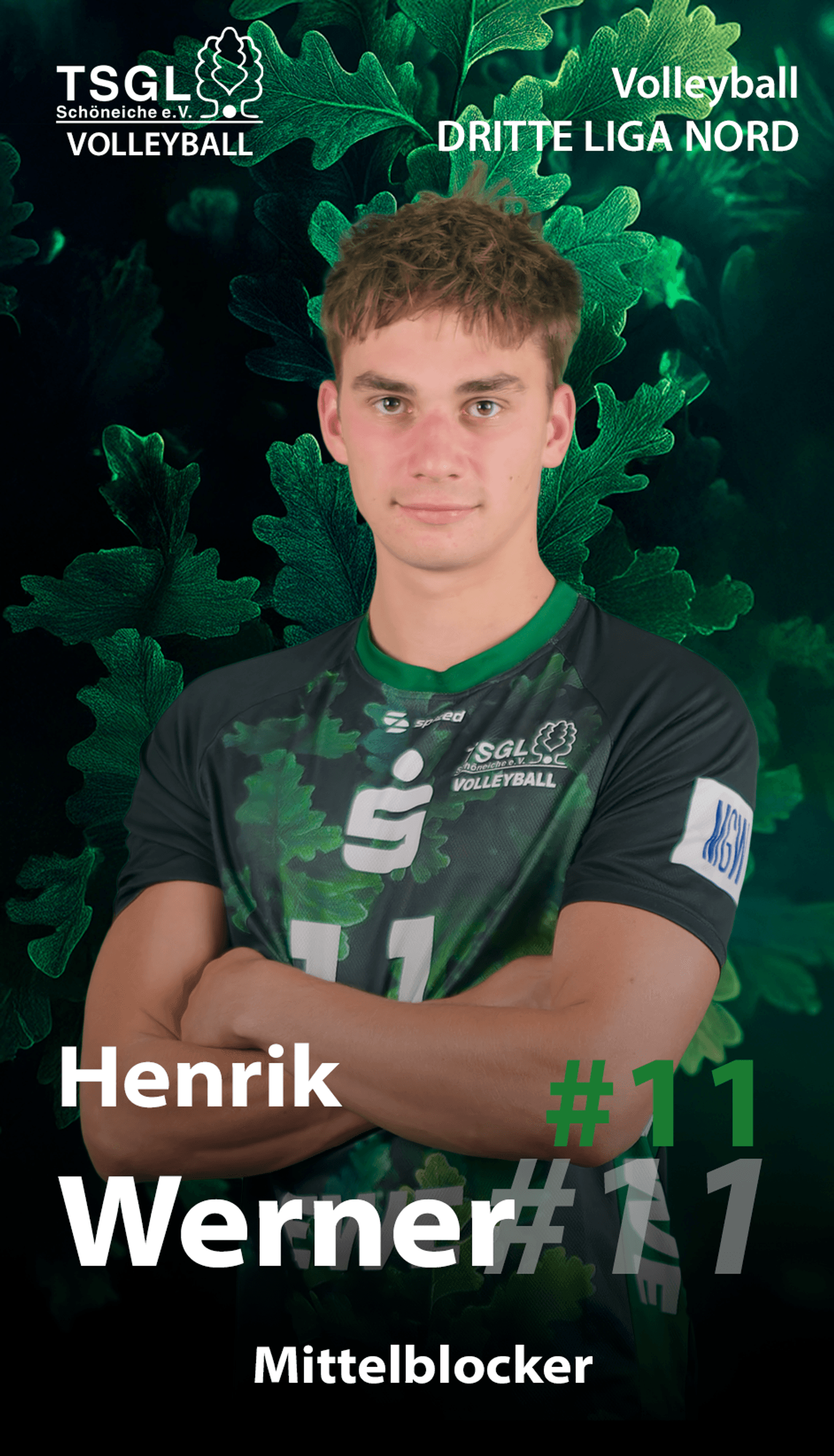 Henrik Werner
